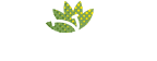 Loefresh Global-Planting Quality, Growing the World.