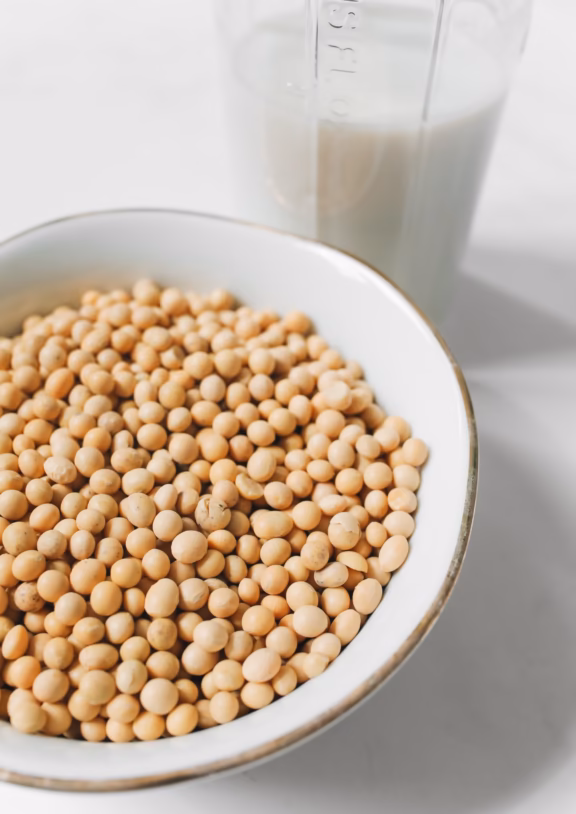 We source quality soybeans from established agricultural suppliers across Africa, serving food, feed, processing, and commodity markets.