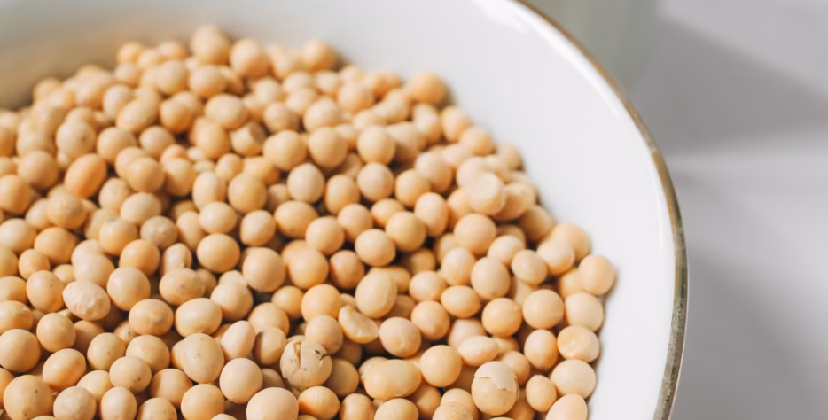 We source quality soybeans from established agricultural suppliers across Africa, serving food, feed, processing, and commodity markets.